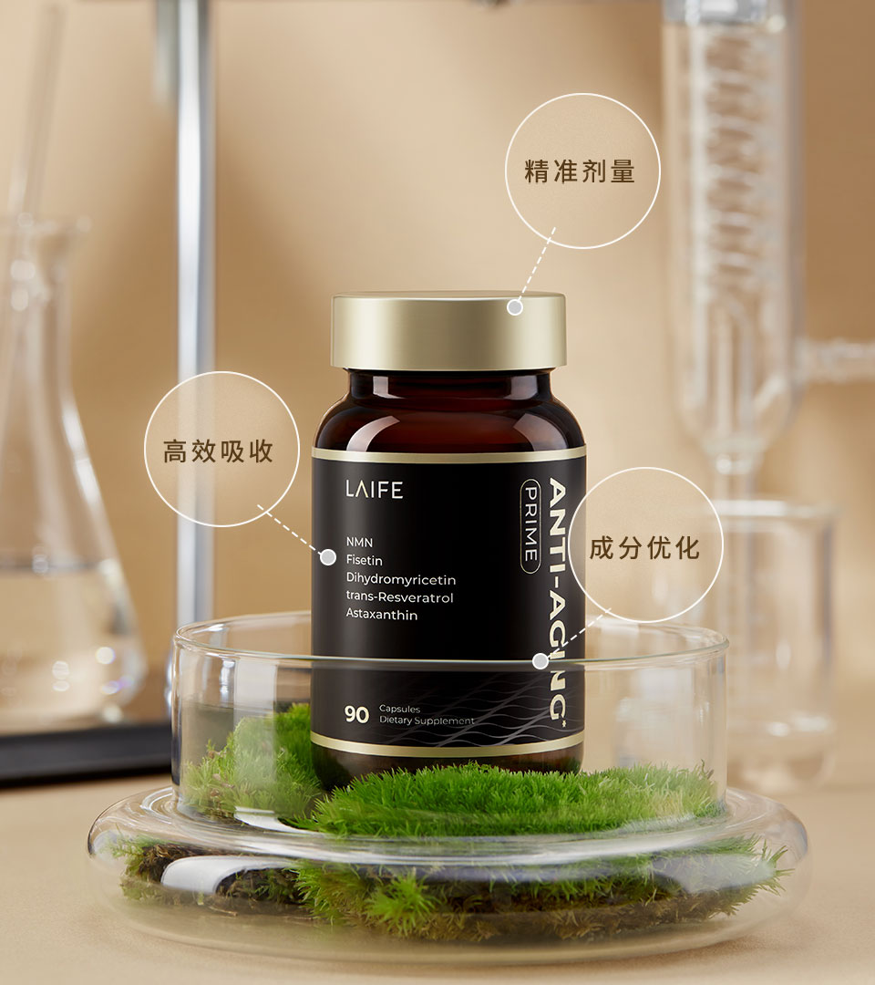 AI算力辅助研发